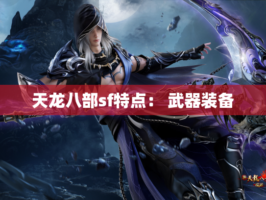 天龙八部sf特点： 武器装备  第1张